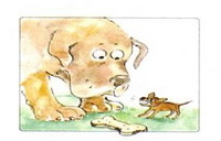 Leader of the Pack - Dog Behaviour Training