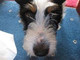 forum avatar
