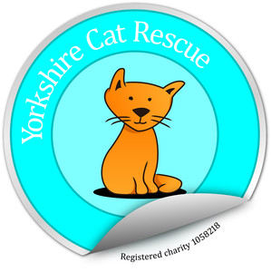 Yorkshire Cat Rescue