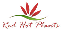 RED HOT PLANTS - Free Nationwide delivery of high quality Artificial Plants & Trees