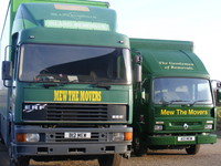 Mew the Movers