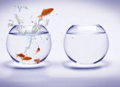 Bay View Life Coaching and Counseling