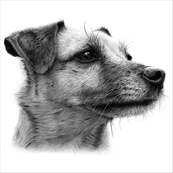 MCB Pencil Portraits