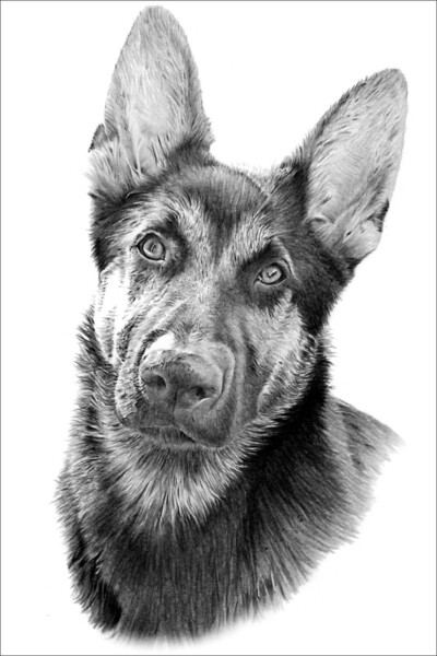 MCB Pencil Portraits