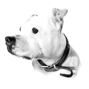 MCB Pencil Portraits