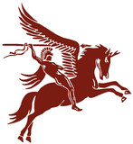 Pegasus Investigations Ltd