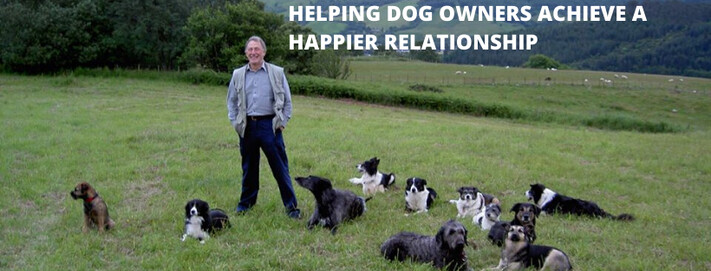 Rewarding Dogs