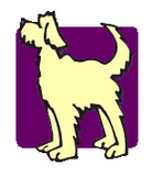 Rewarding Dogs