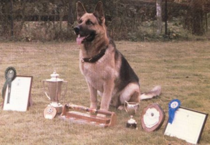 Delta One Canines