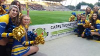 carpetmonsters-carpet & upholstery cleaning service Leeds