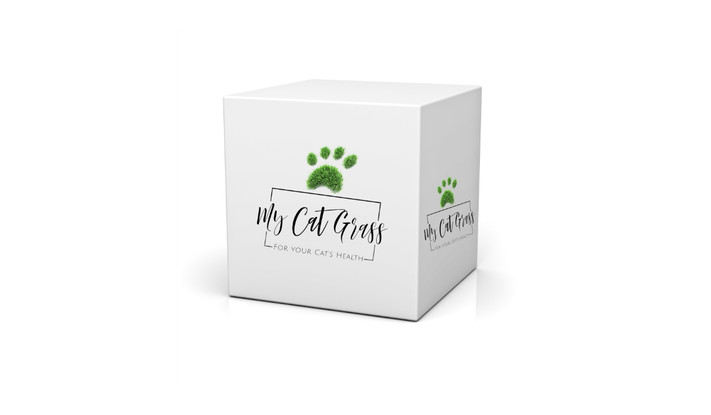 My Cat Grass