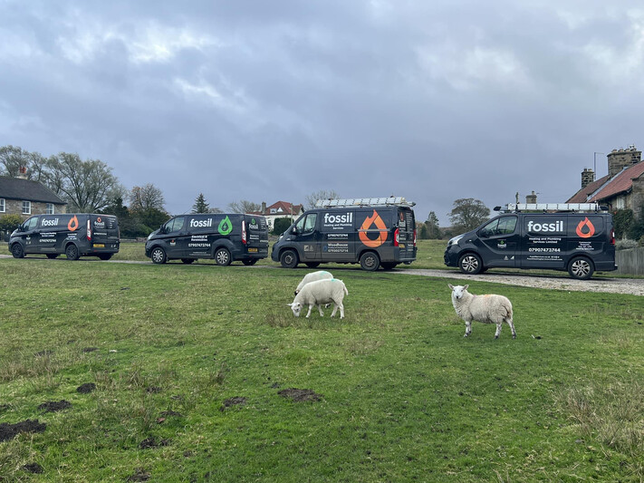 Fossil Electrical And Renewables