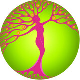 Dream Thyme Herbal