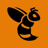 Kent Wasp Control